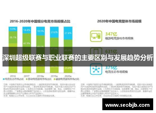 深圳超级联赛与职业联赛的主要区别与发展趋势分析