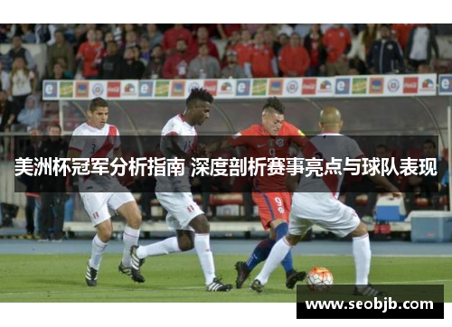 美洲杯冠军分析指南 深度剖析赛事亮点与球队表现